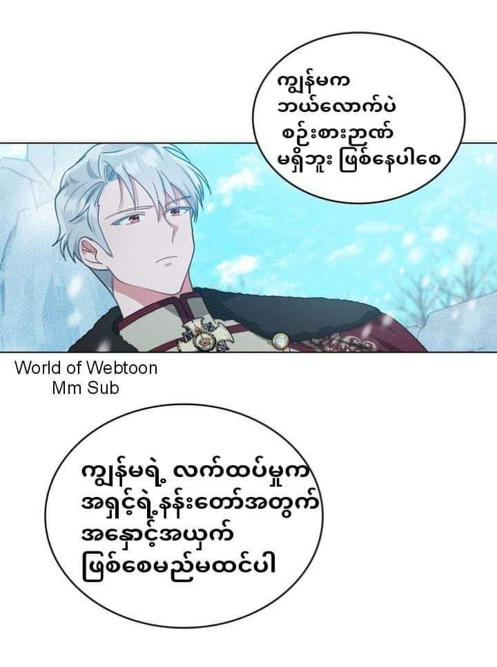 Content Image