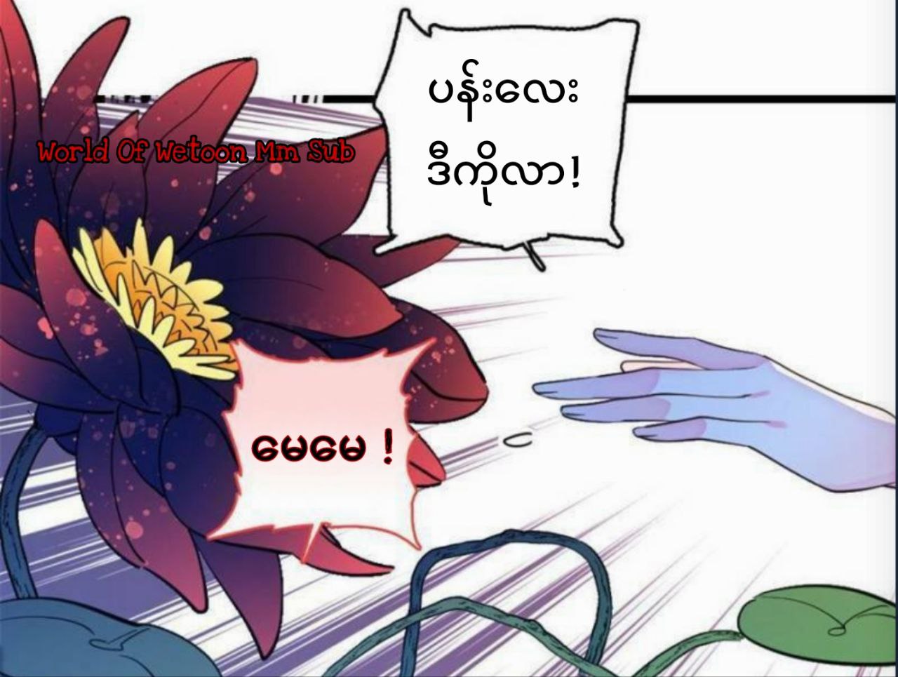 Content Image
