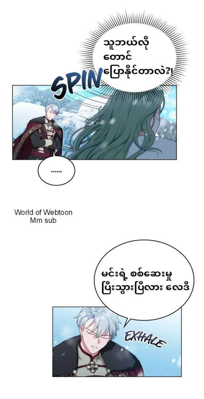 Content Image