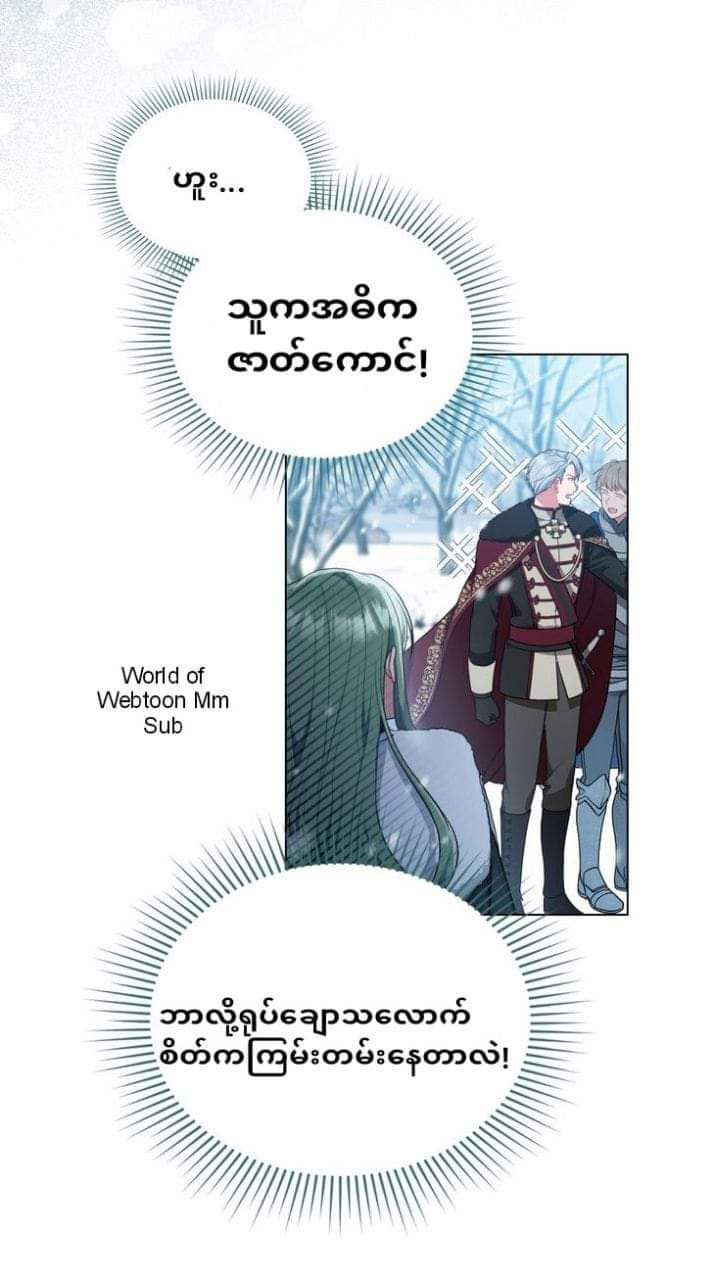 Content Image