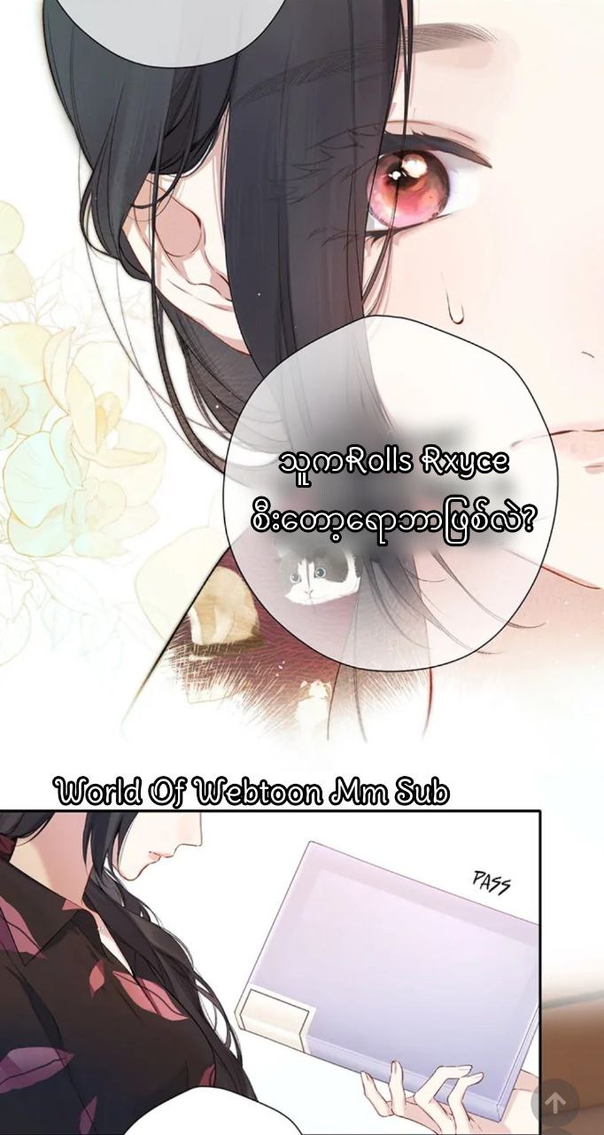 Content Image