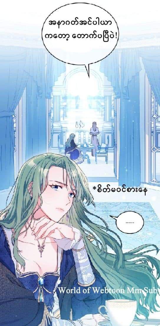 Content Image