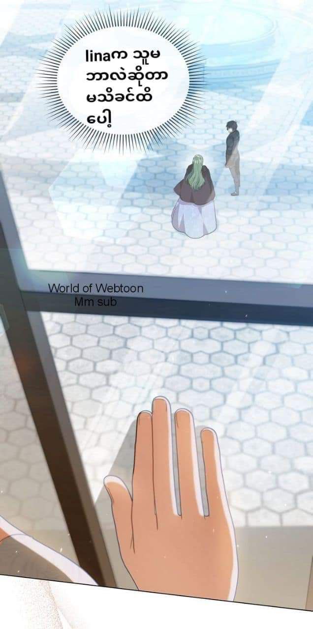 Content Image