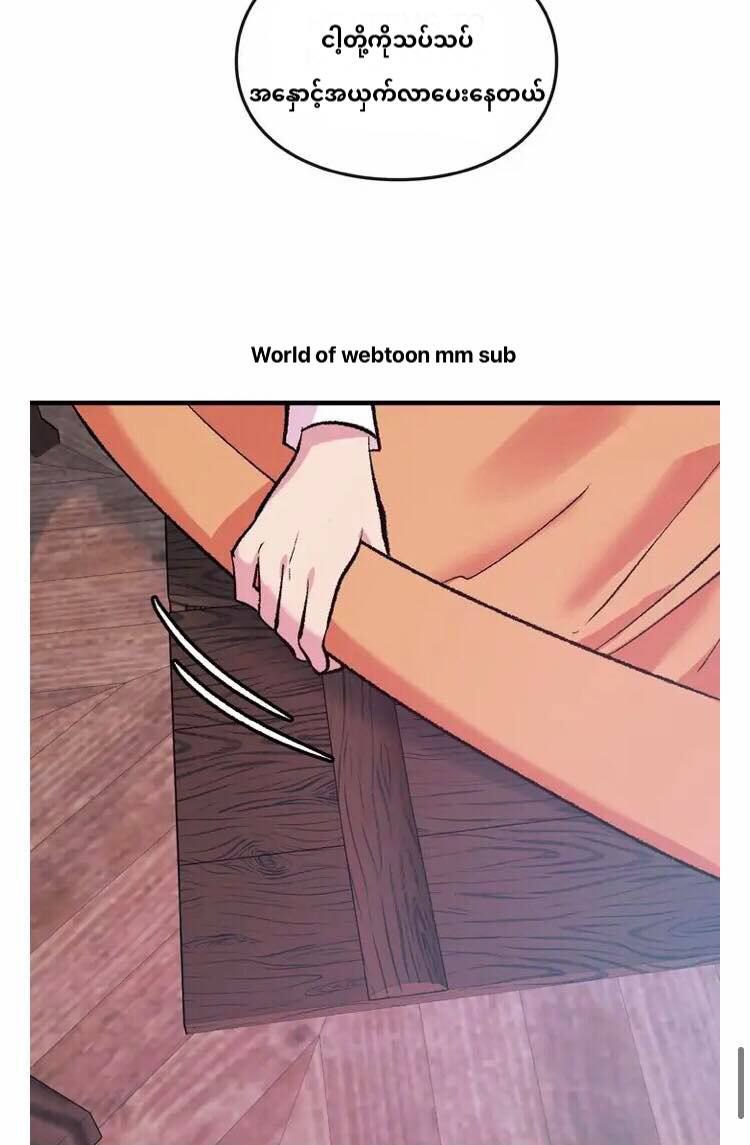 Content Image