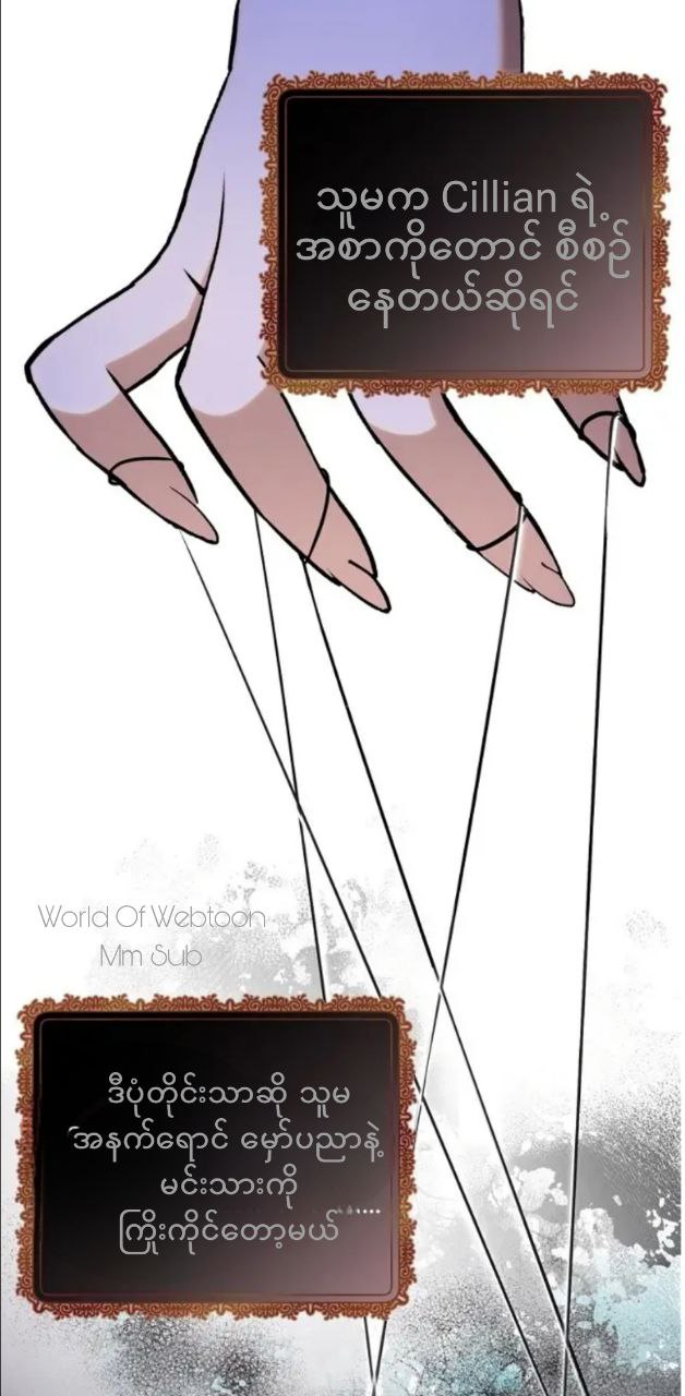 Content Image