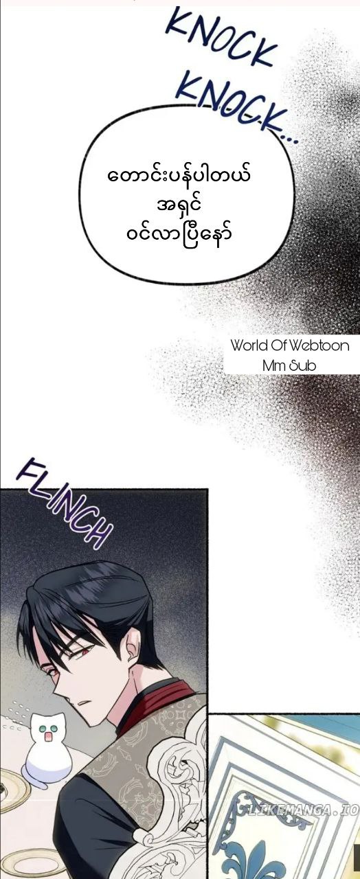Content Image