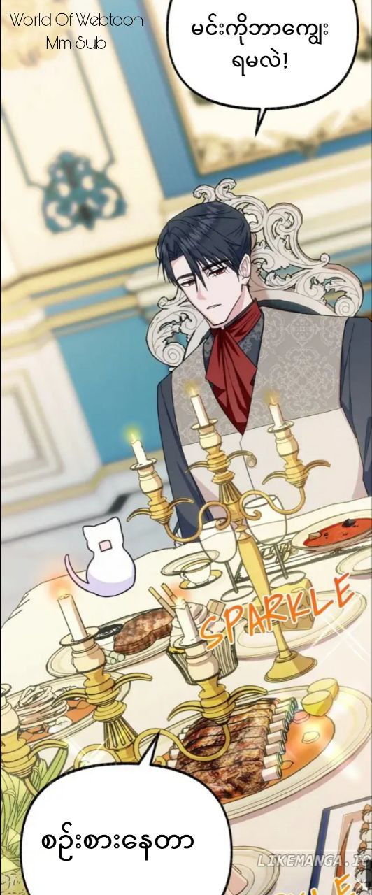 Content Image