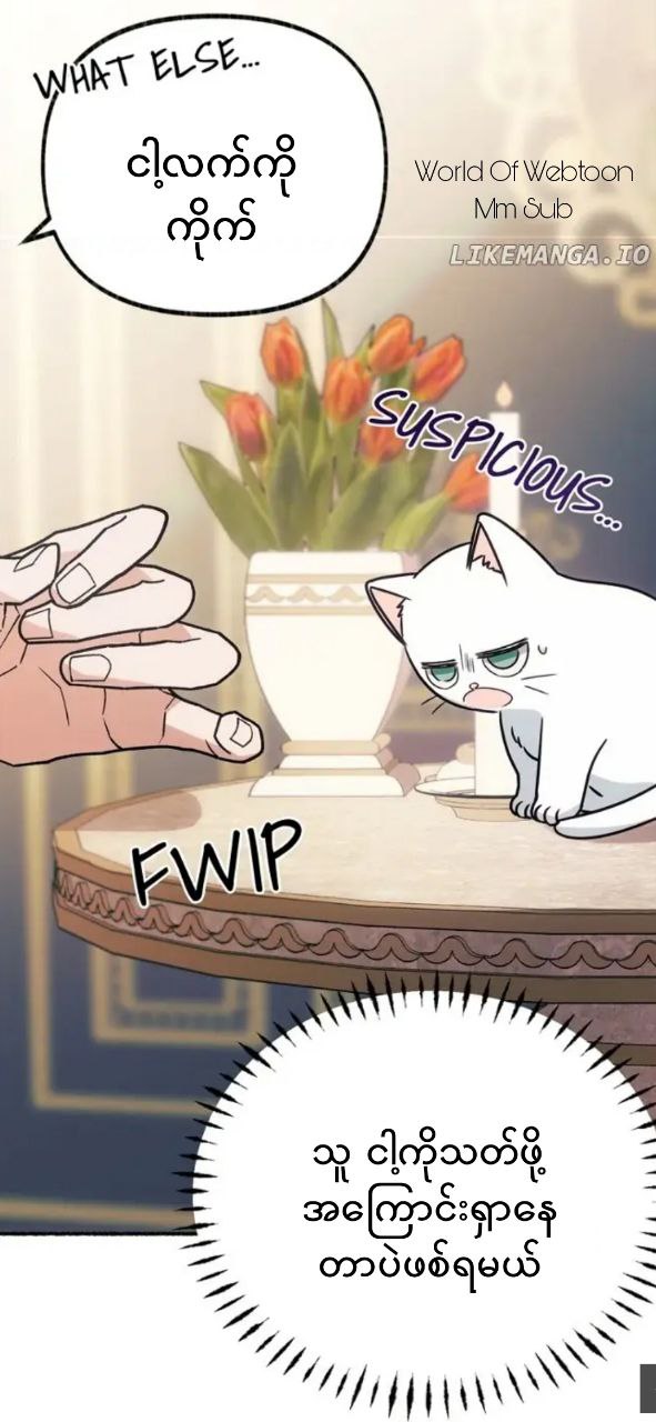 Content Image
