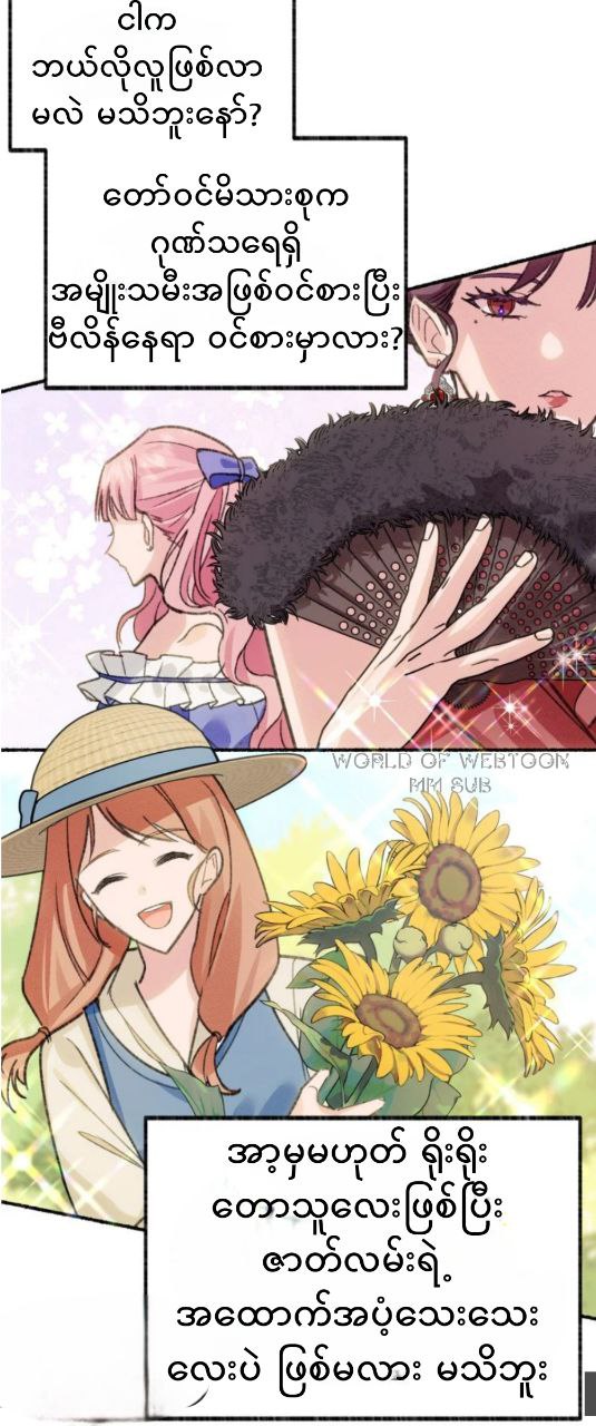 Content Image