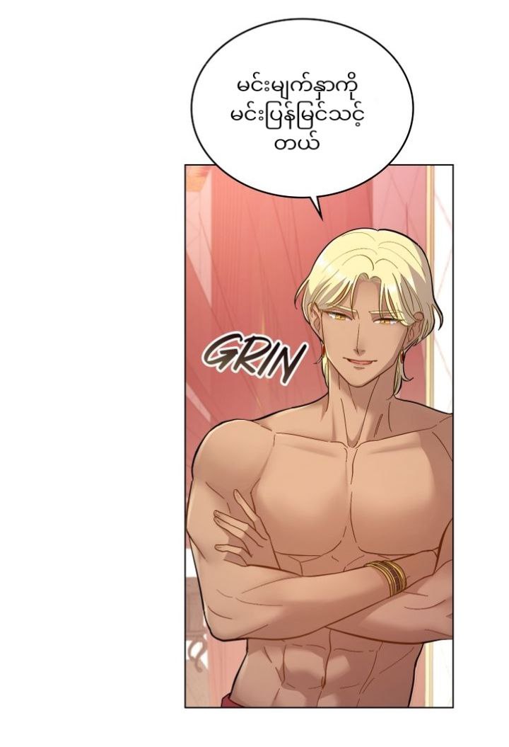 Content Image