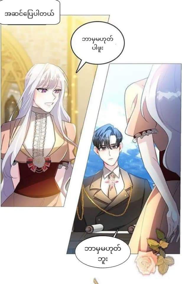 Content Image