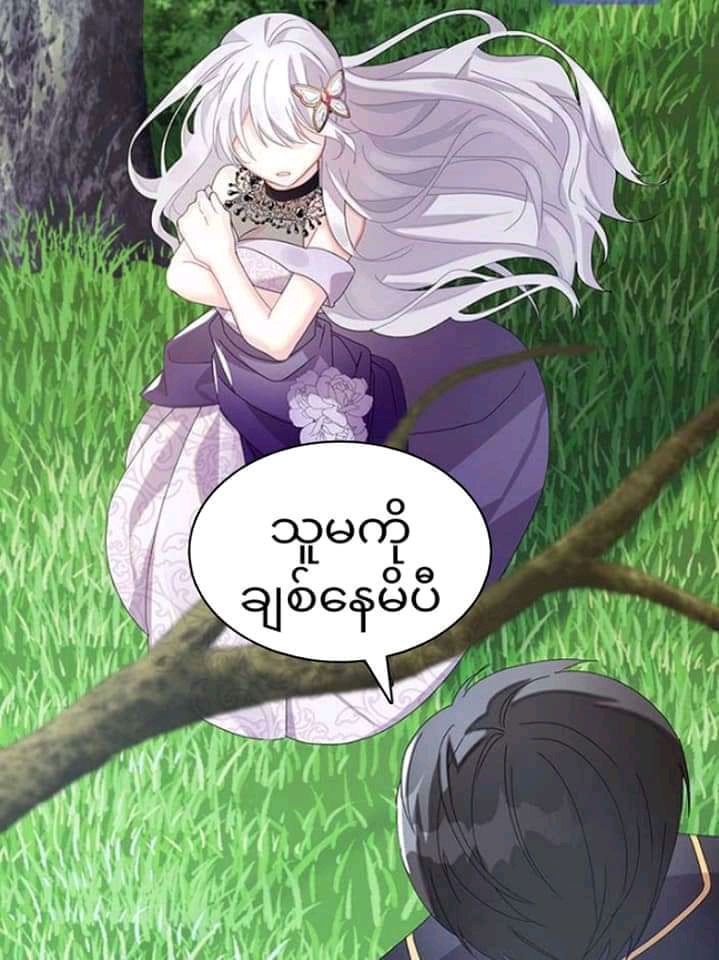 Content Image