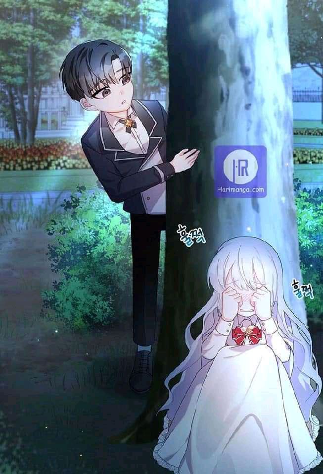 Content Image