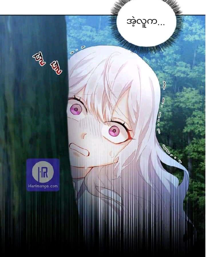 Content Image