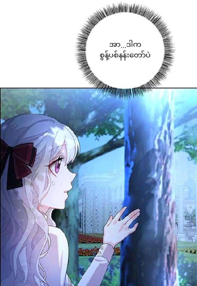 Content Image