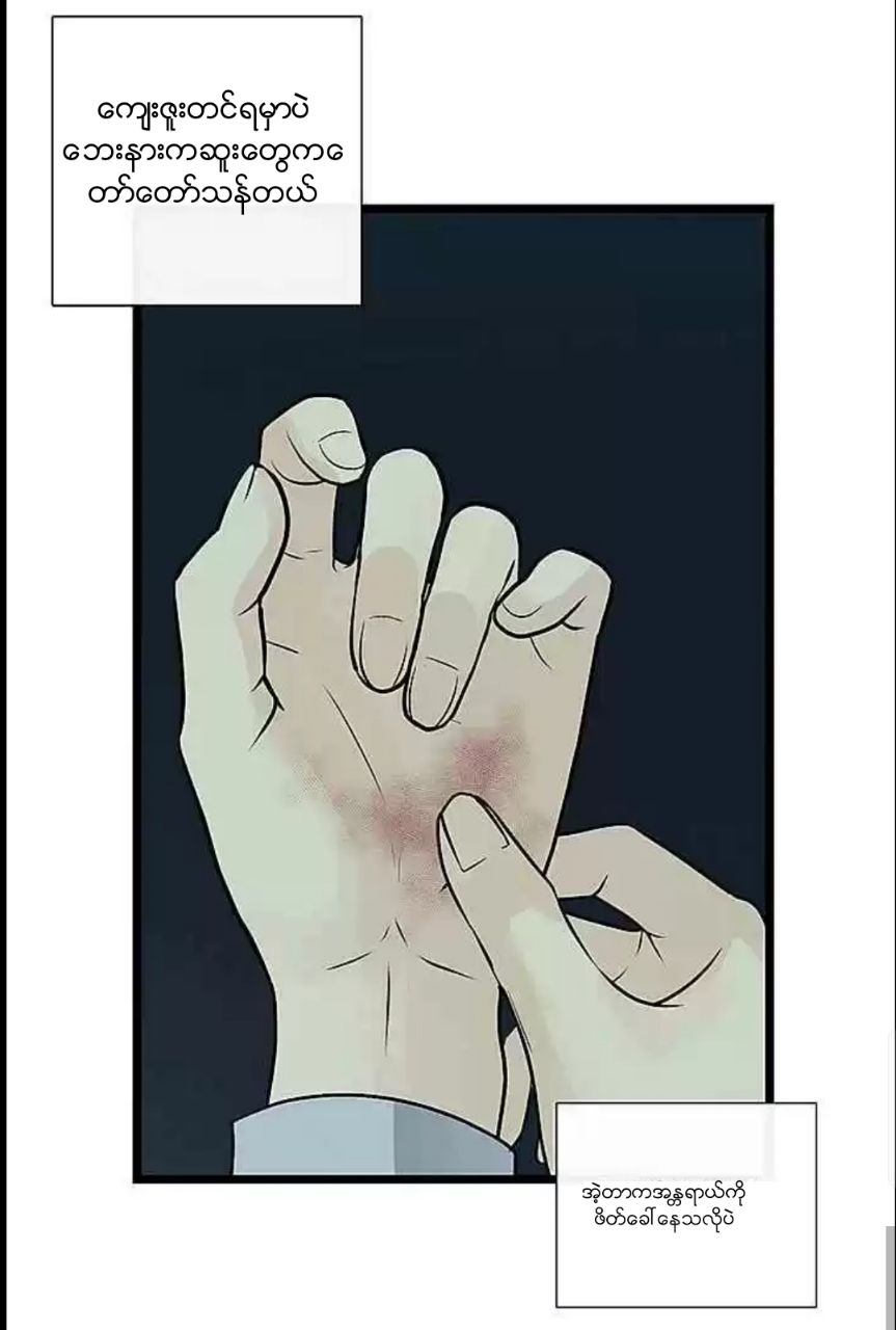Content Image