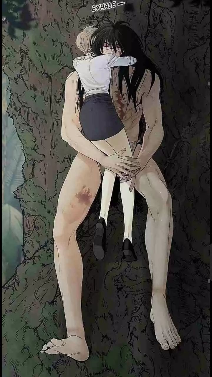 Content Image