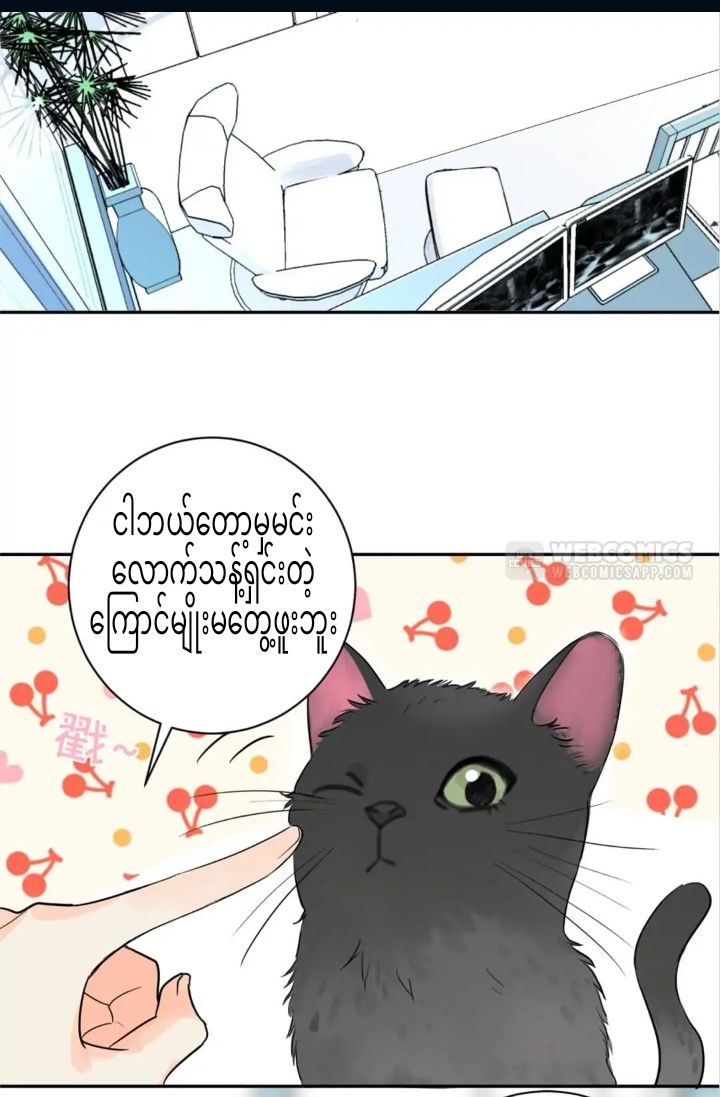 Content Image