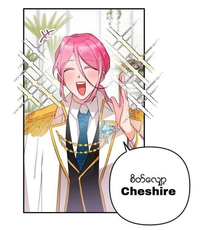 Content Image