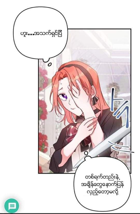 Content Image