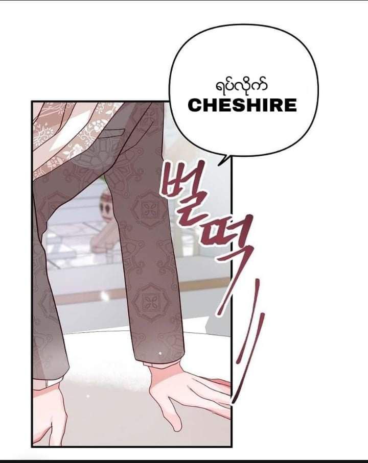 Content Image