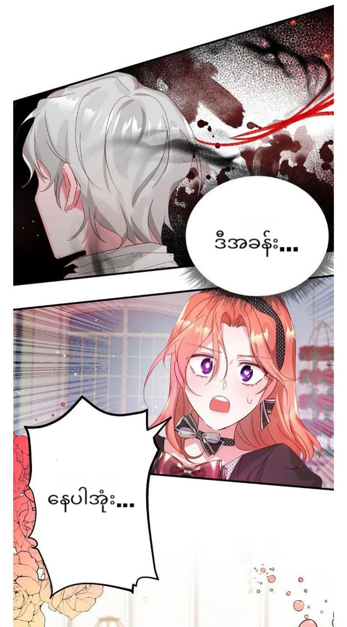Content Image