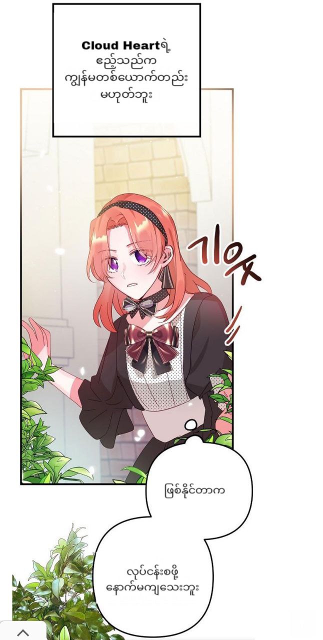 Content Image