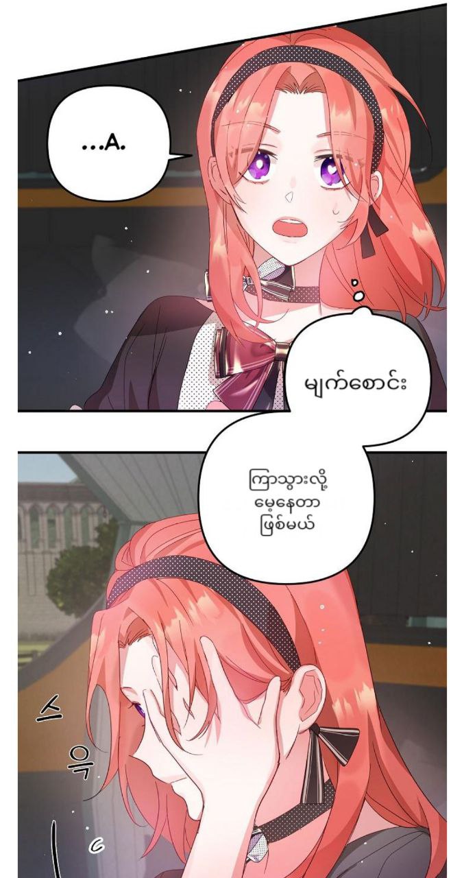 Content Image