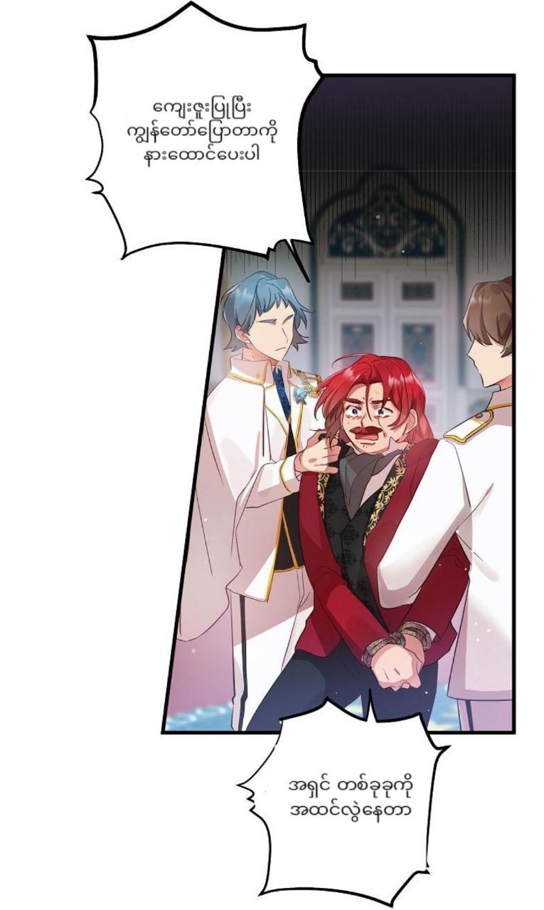 Content Image