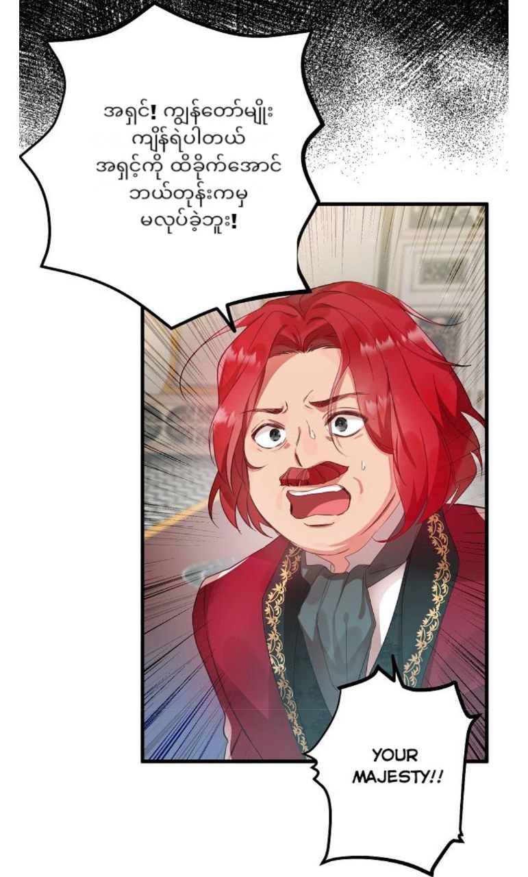 Content Image