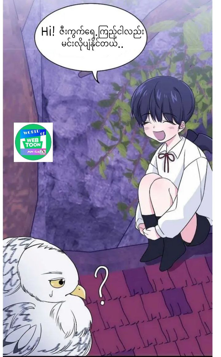 Content Image
