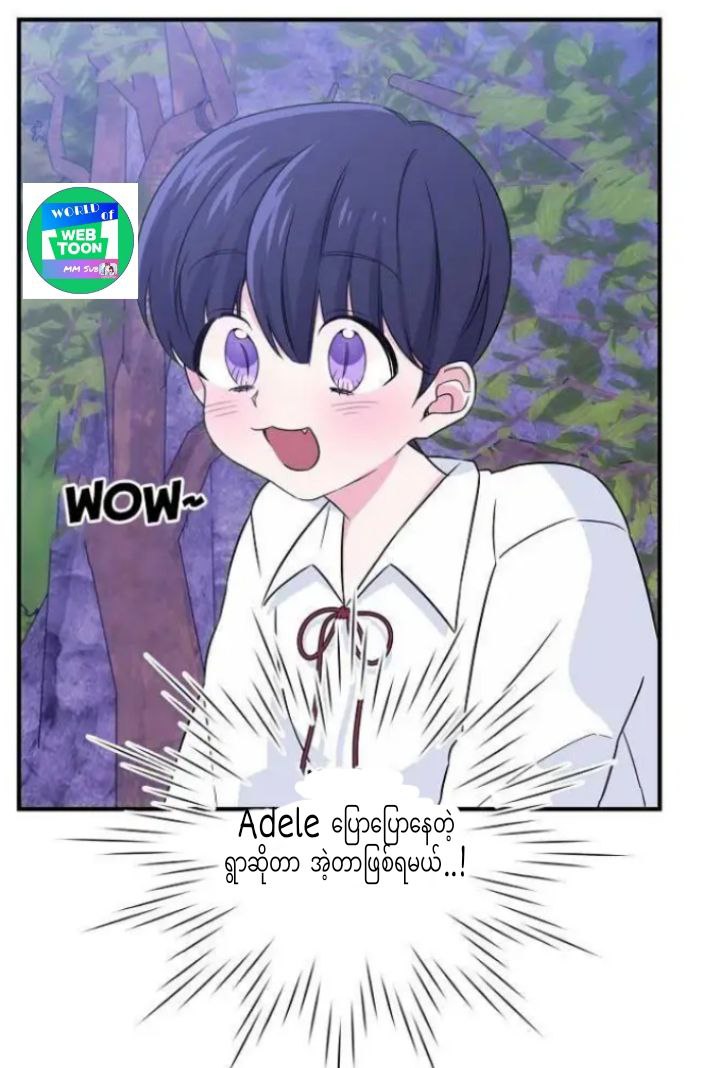 Content Image