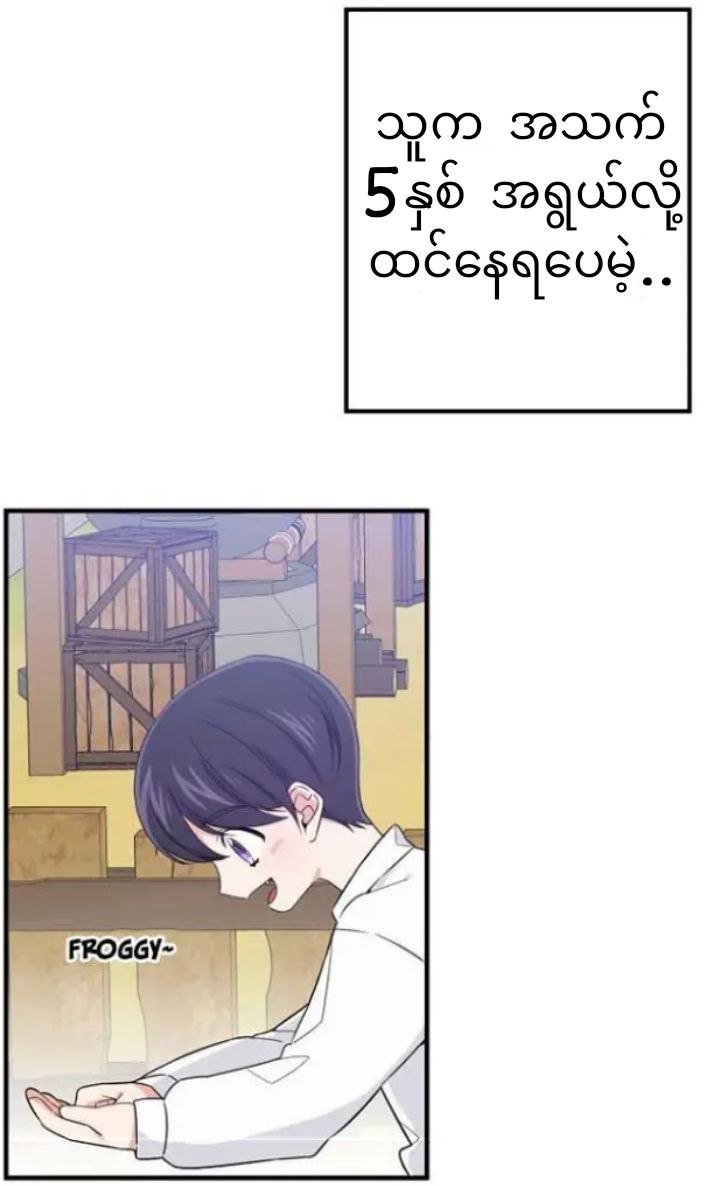 Content Image