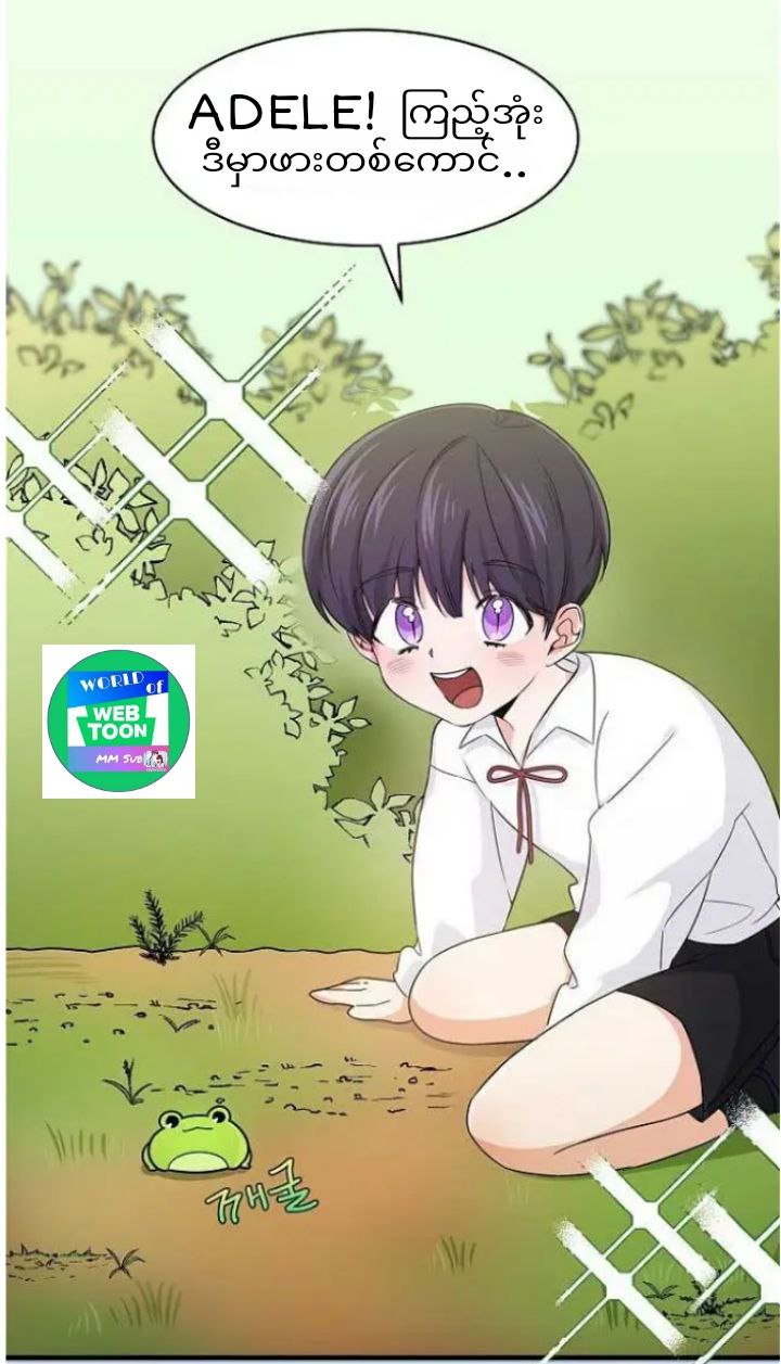 Content Image