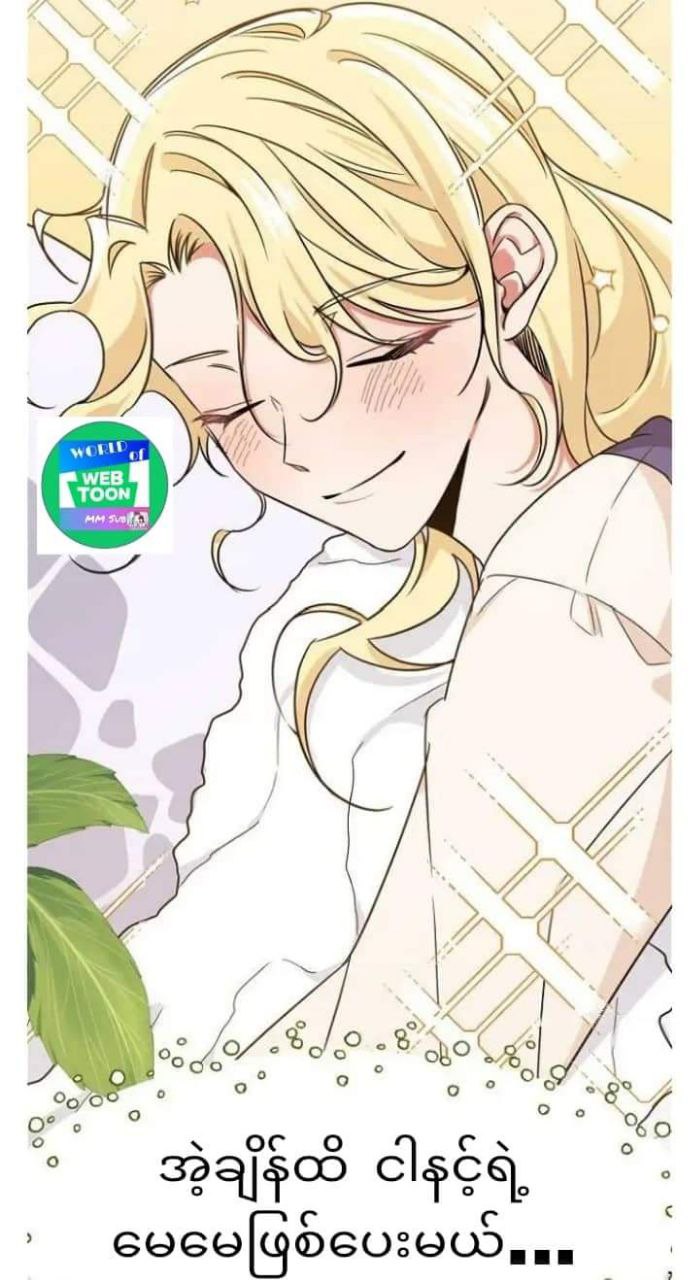 Content Image