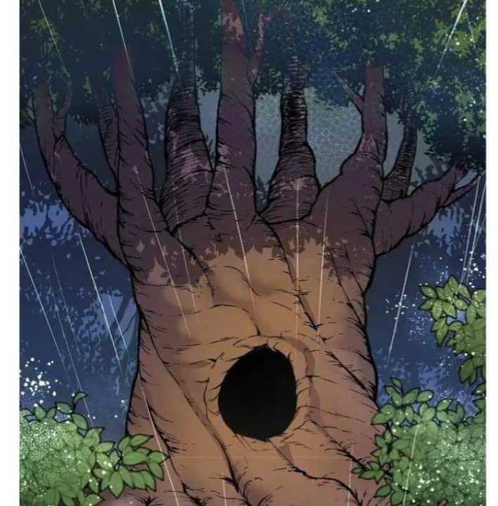 Content Image
