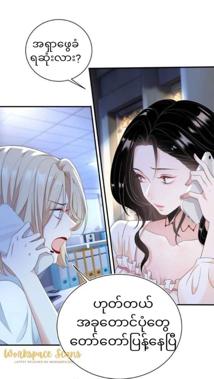 Content Image