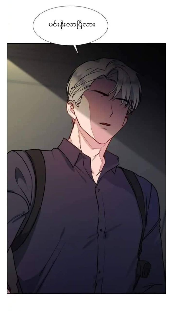 Content Image