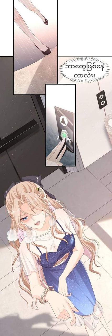 Content Image