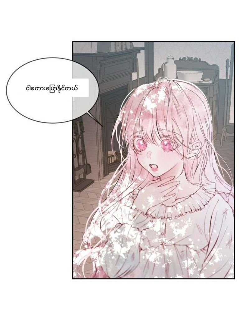 Content Image
