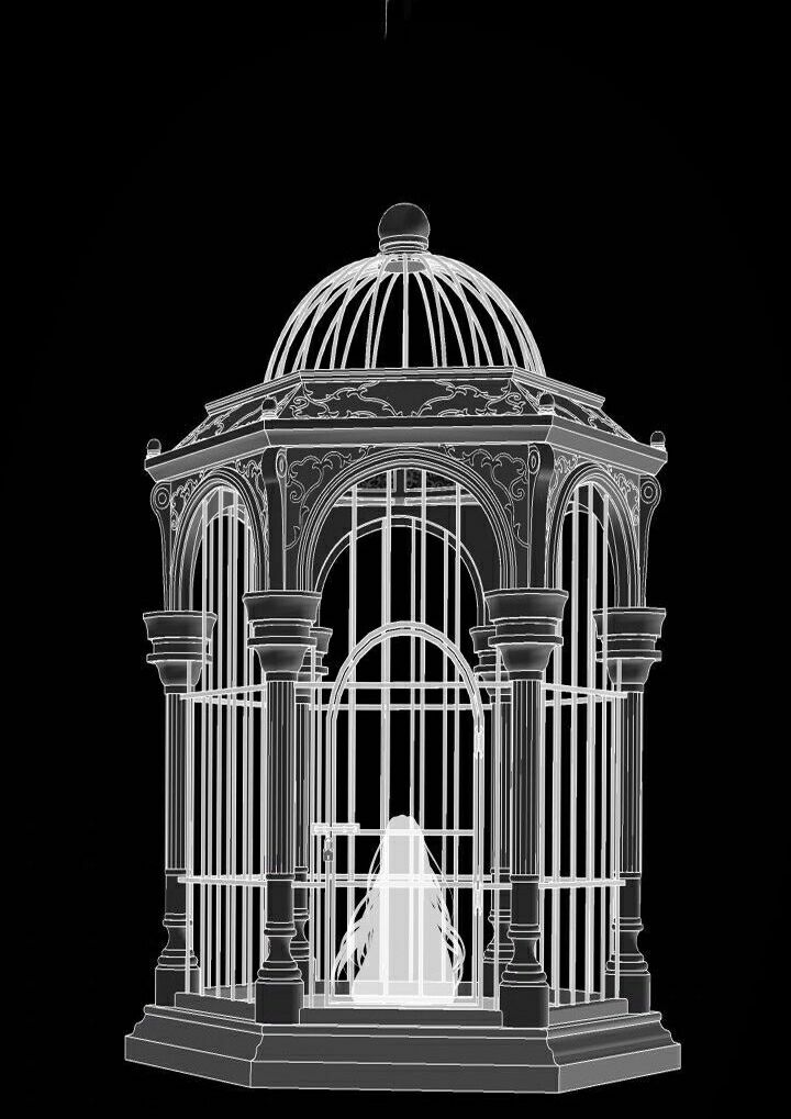 Content Image