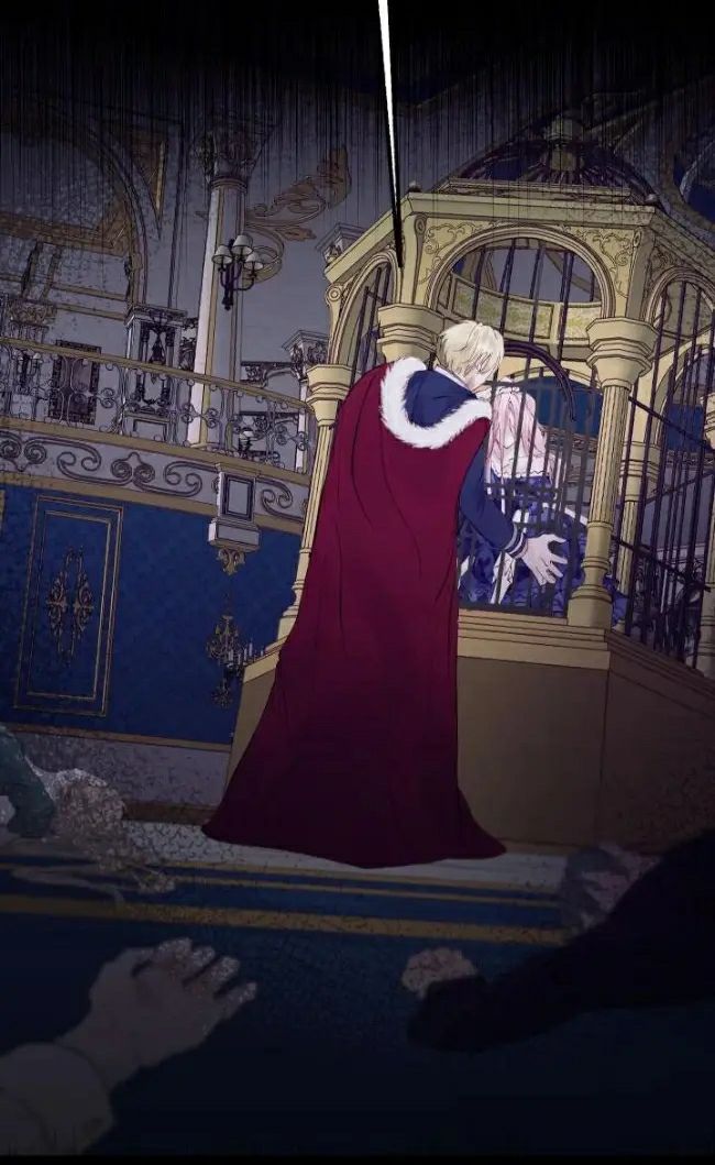 Content Image