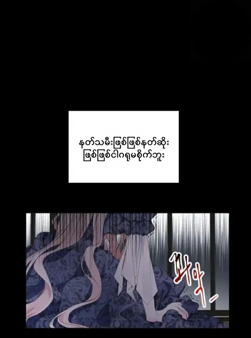 Content Image