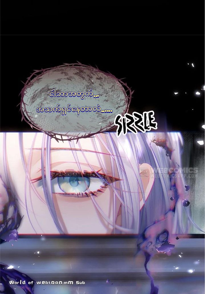 Content Image