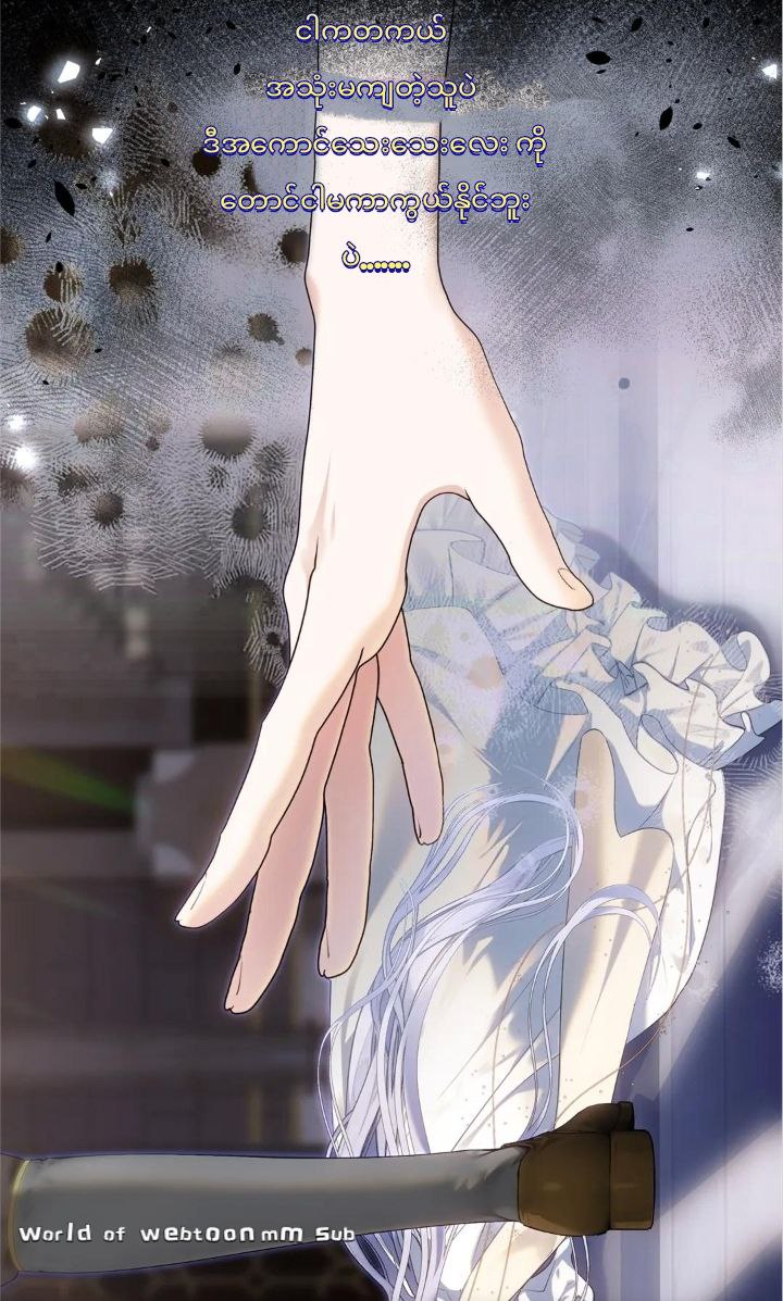 Content Image