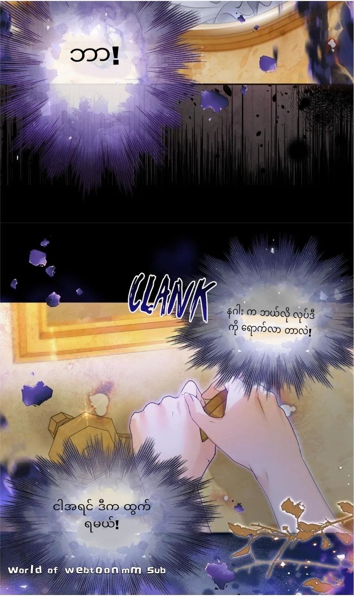 Content Image
