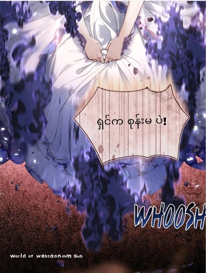 Content Image