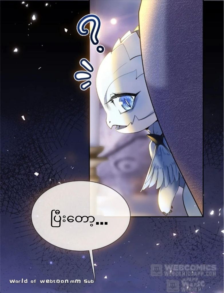Content Image