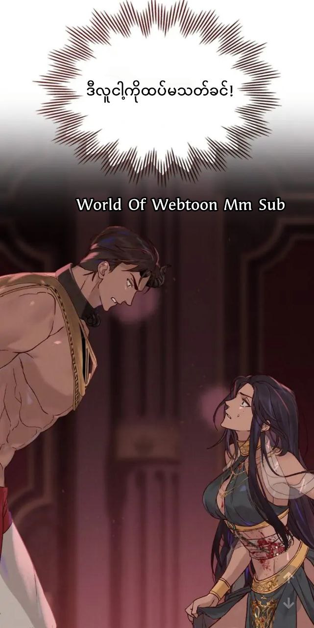 Content Image