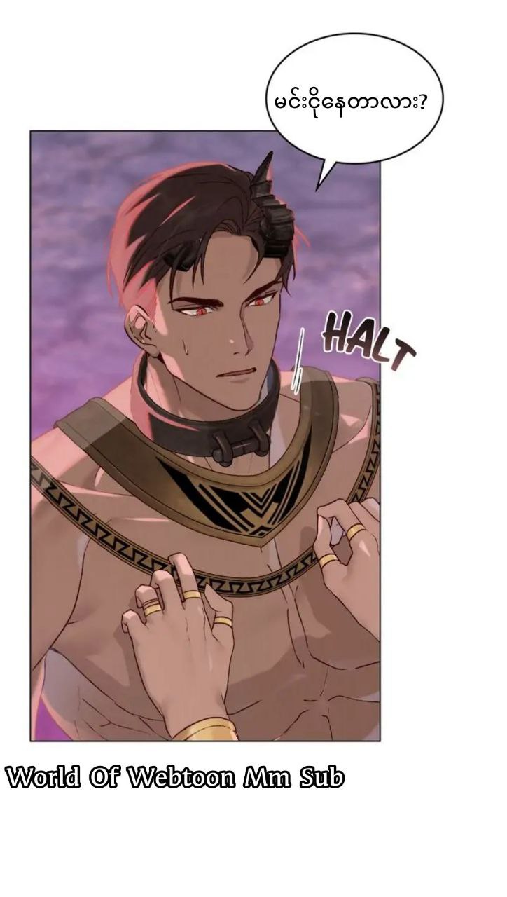 Content Image